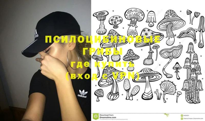 Псилоцибиновые грибы MAGIC MUSHROOMS  Салаир 